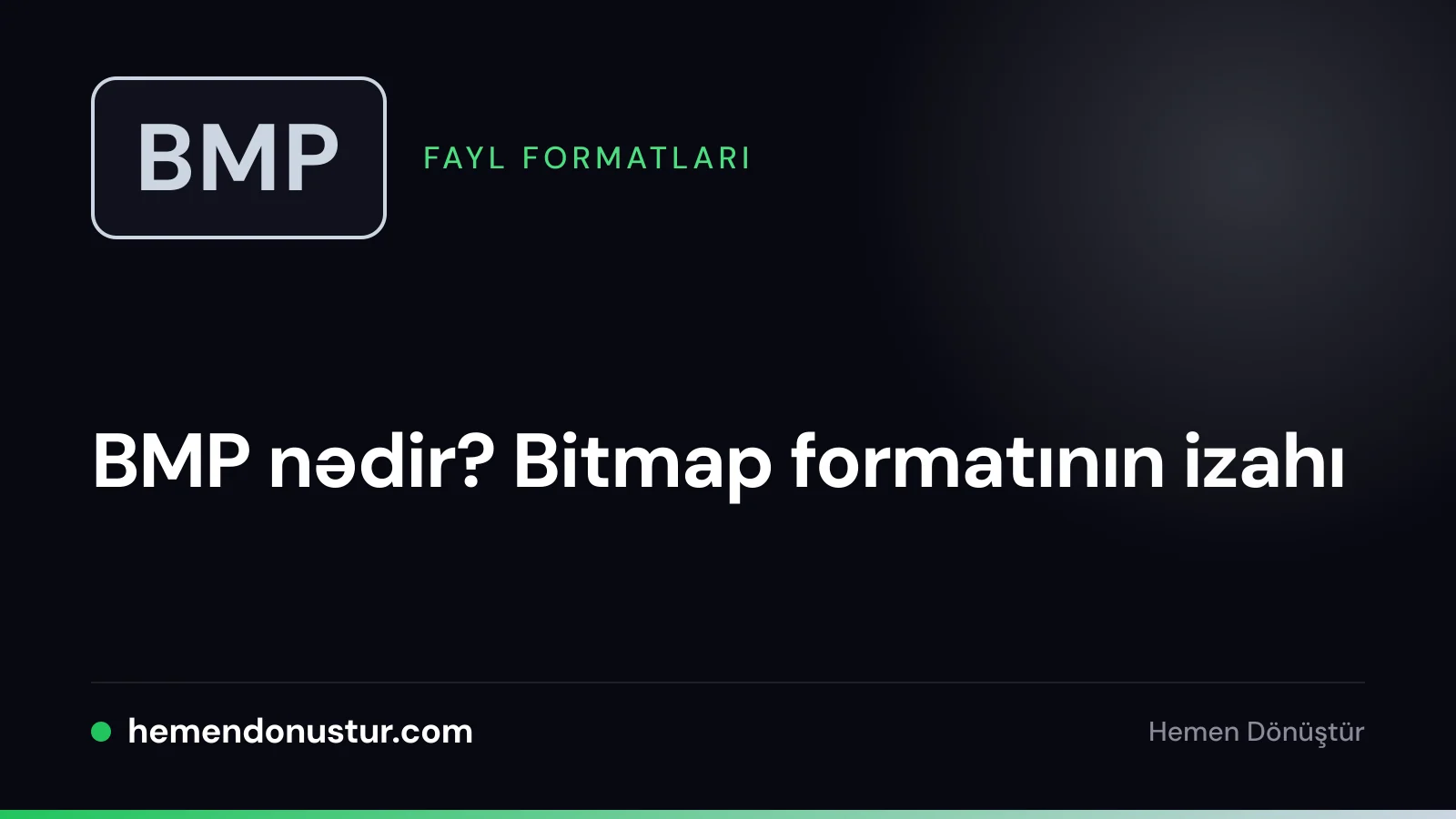 BMP fayl formatı bələdçisinin üz qabığı şəkli