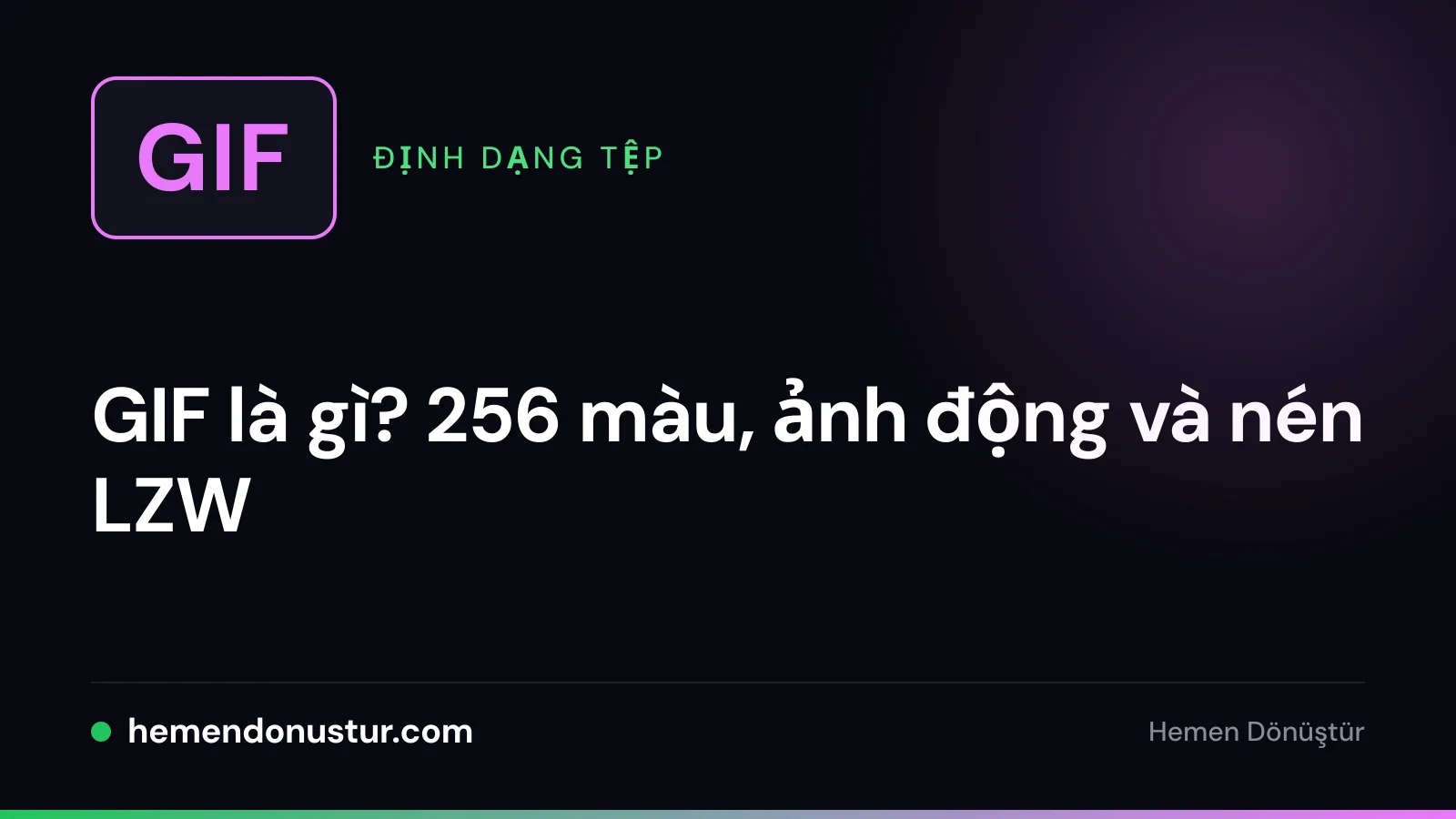 Ảnh bìa bài hướng dẫn về định dạng GIF