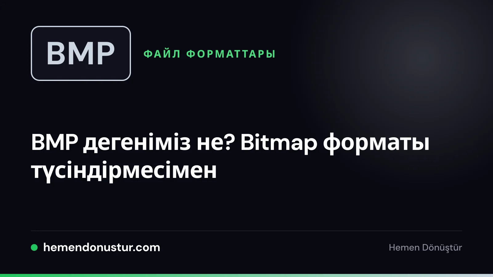 BMP файл форматы туралы нұсқаулықтың мұқаба суреті