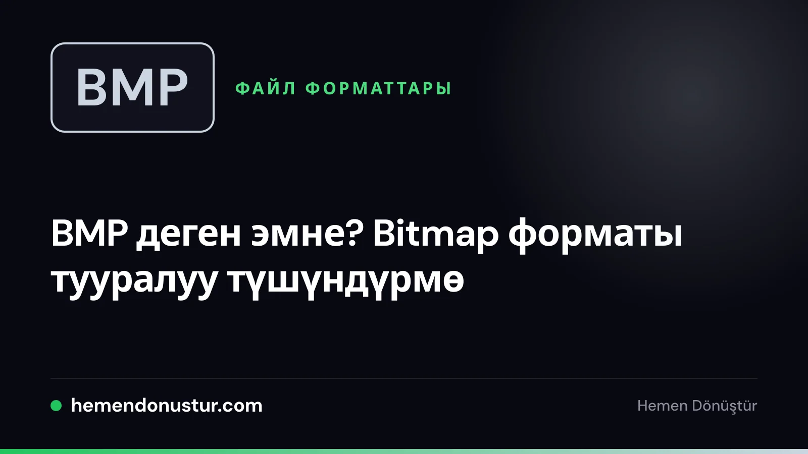 BMP файл форматы боюнча колдонмонун мукаба сүрөтү