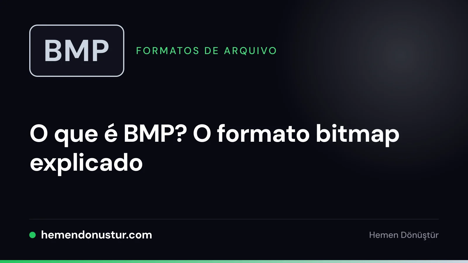 Imagem de capa do guia sobre o formato de arquivo BMP