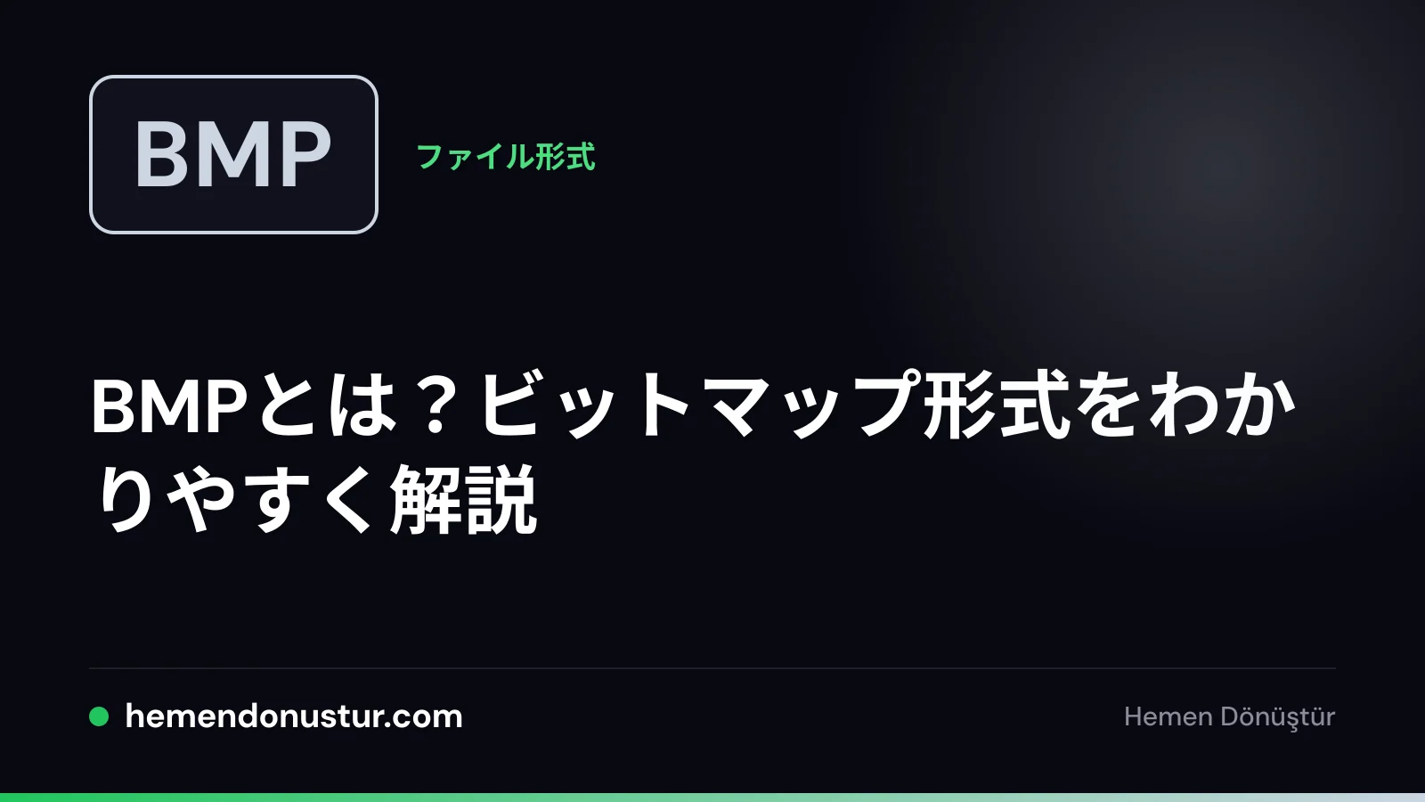 BMPファイル形式ガイドのカバー画像