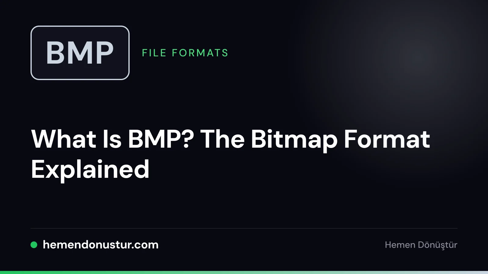 Cover image for the BMP file format guide