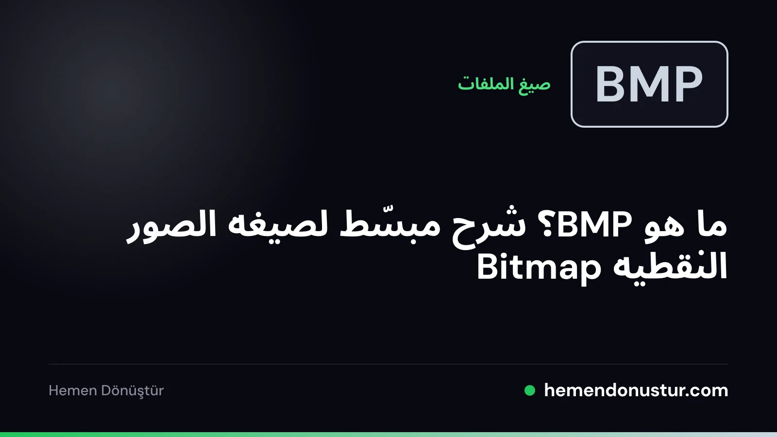 صورة غلاف لدليل صيغة ملفات BMP