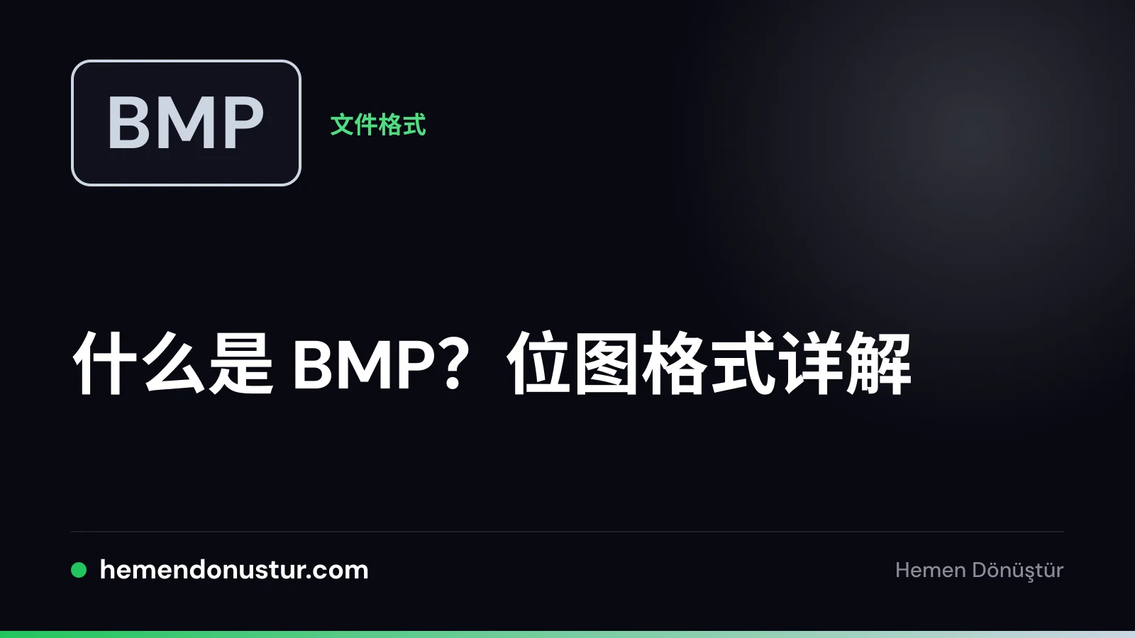 BMP 文件格式指南封面图
