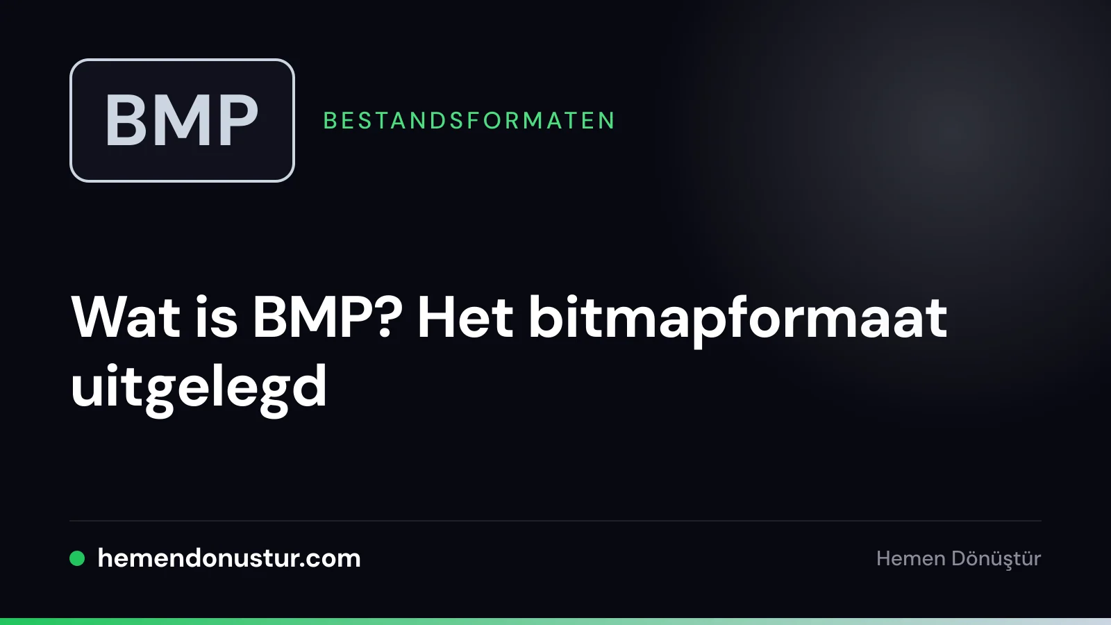 Omslagafbeelding van de gids over het BMP-bestandsformaat