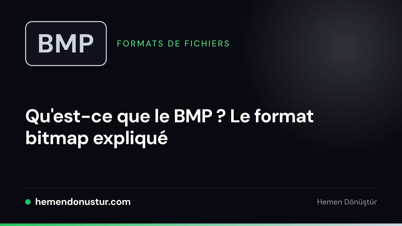 Image de couverture du guide sur le format de fichier BMP