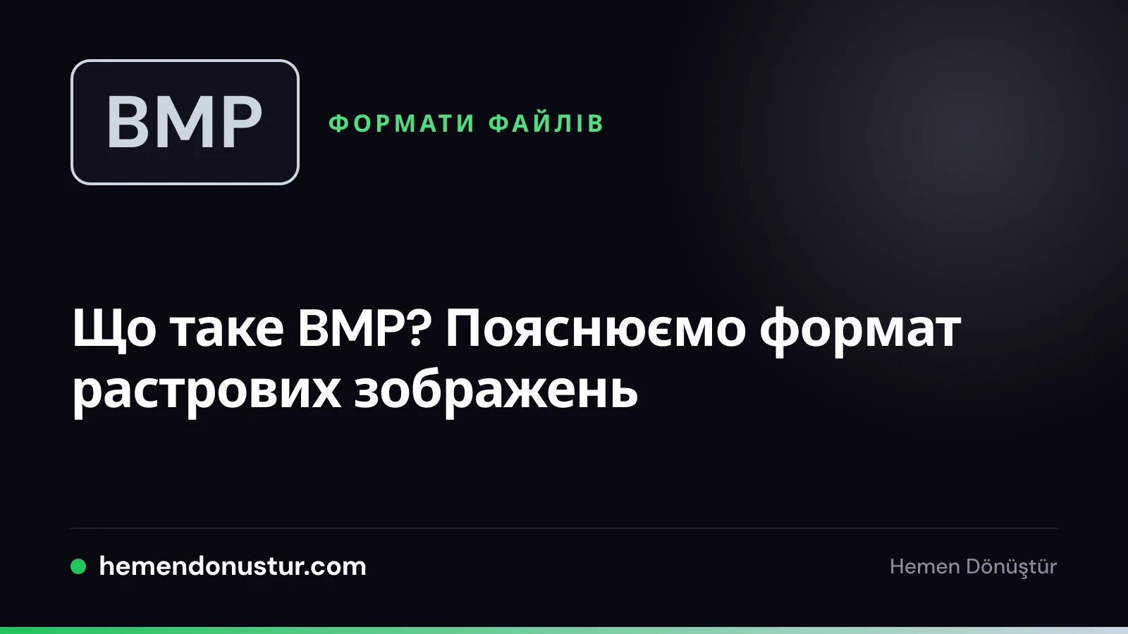 Обкладинка посібника про формат файлів BMP