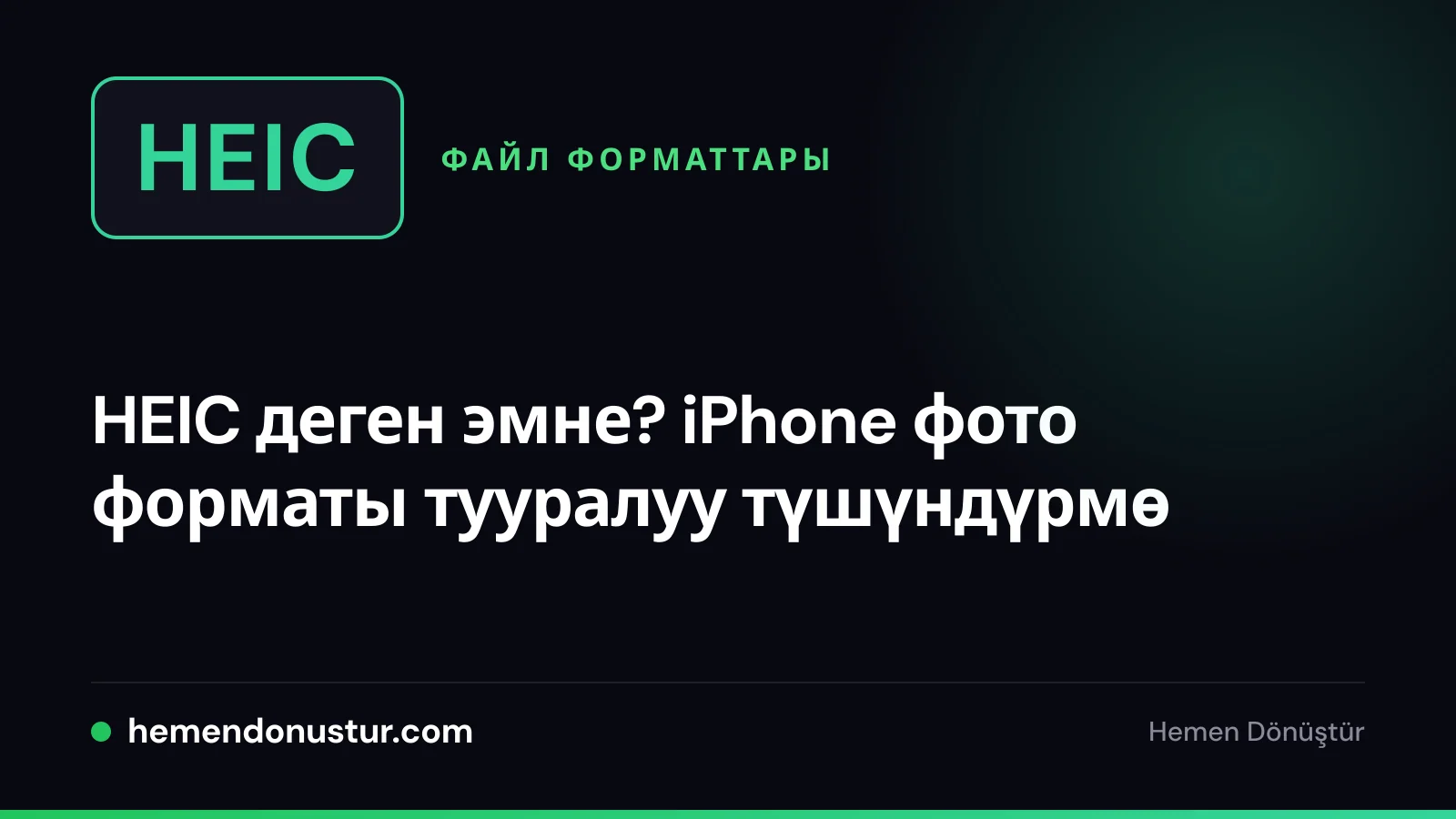 HEIC фото форматы боюнча колдонмонун мукаба сүрөтү