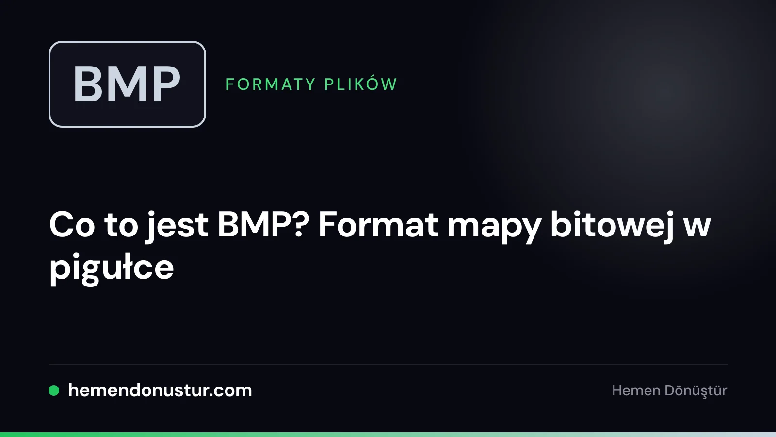 Okładka poradnika o formacie pliku BMP